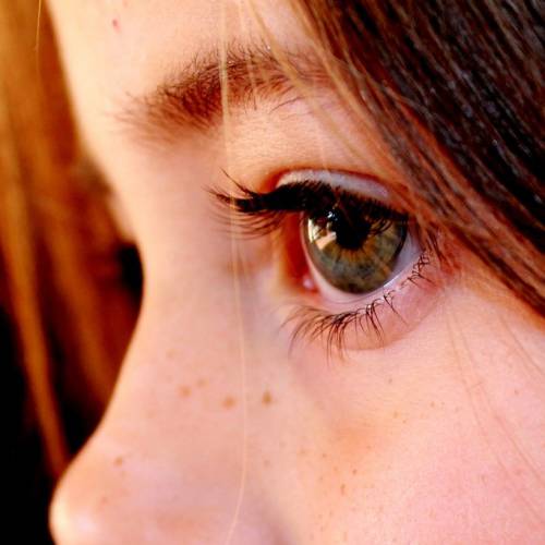 The Eyelash Growth Cycle