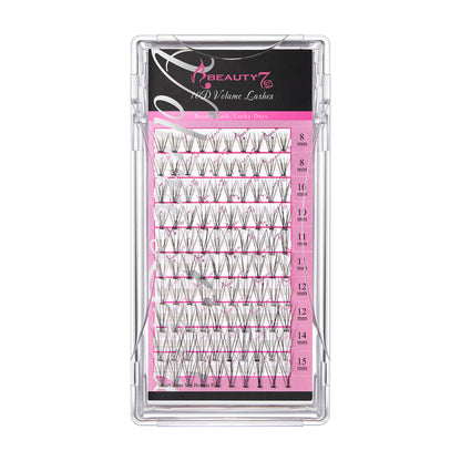 10D Volume Lashes 0.07