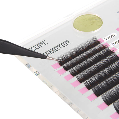 Lash Holder Lash Plate